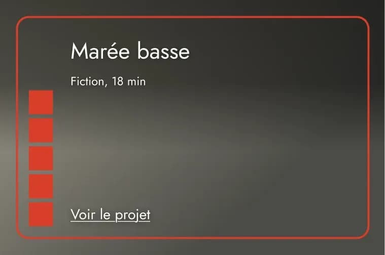 The same card: a column of five red squares and the “Voir le projet” link at the bottom.